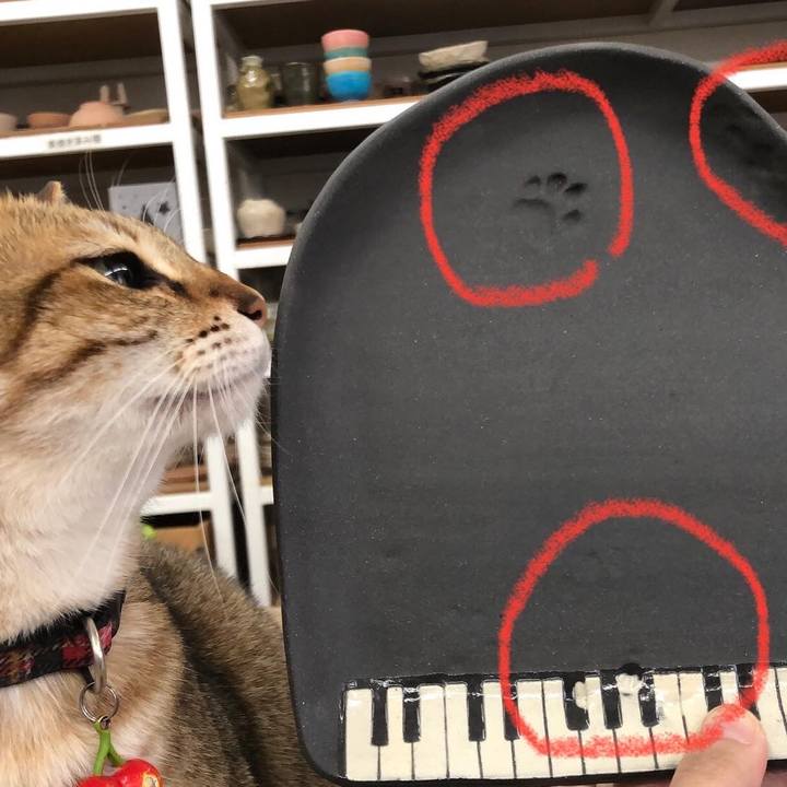 A7154162 cccd 4e98 b860 d7dc30625b19 1667122322908