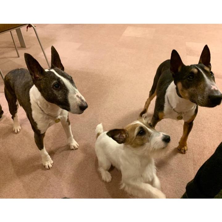 A71553e9 b5f3 4267 8562 04d00a917952 1585480981801