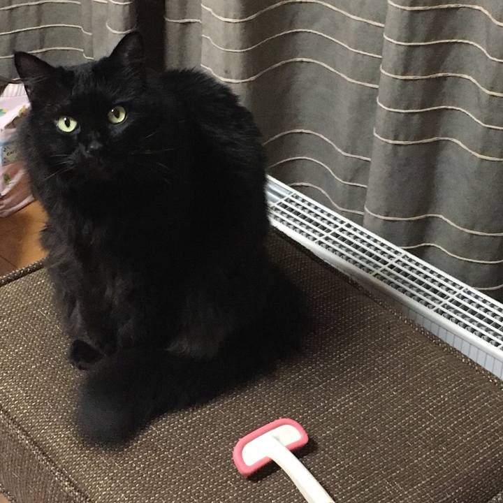 A715559e 656b 41f8 8d0f 26d4818f6c0f 1516352615260