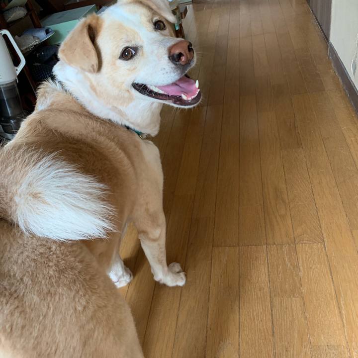 A7155e9f 3fe0 419a b6d8 01486636d759 1561166254675