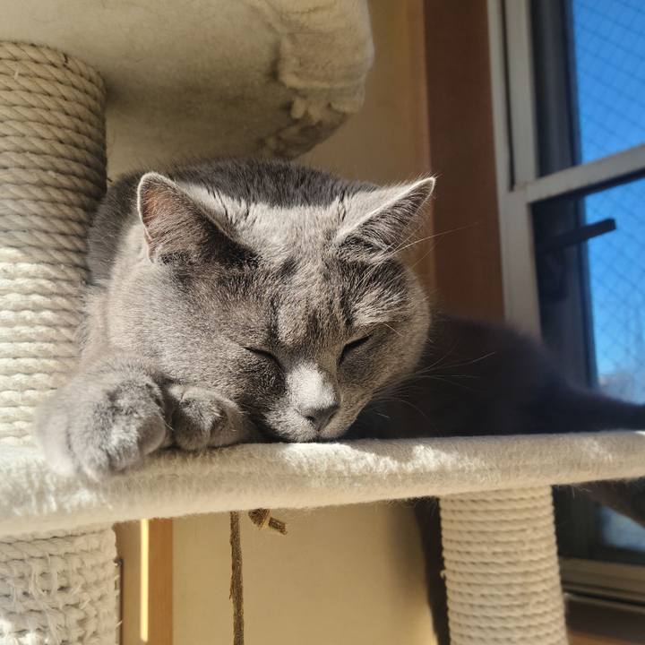 A7156e24 5570 4ef5 9f2f 9f6610d0021f 1669276782807