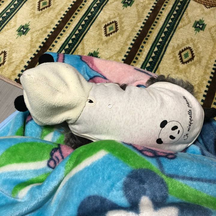 A715a9fd eb16 44d4 8b97 6b406fed3aac 1616413270556