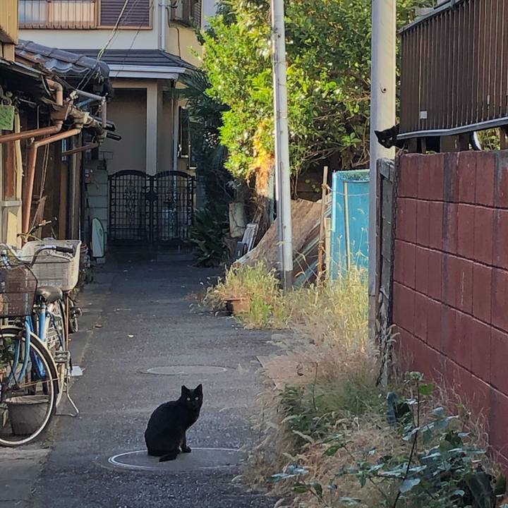 A715aba6 5e4d 4aa0 bbdf 9c7b375d7588 1609362204076