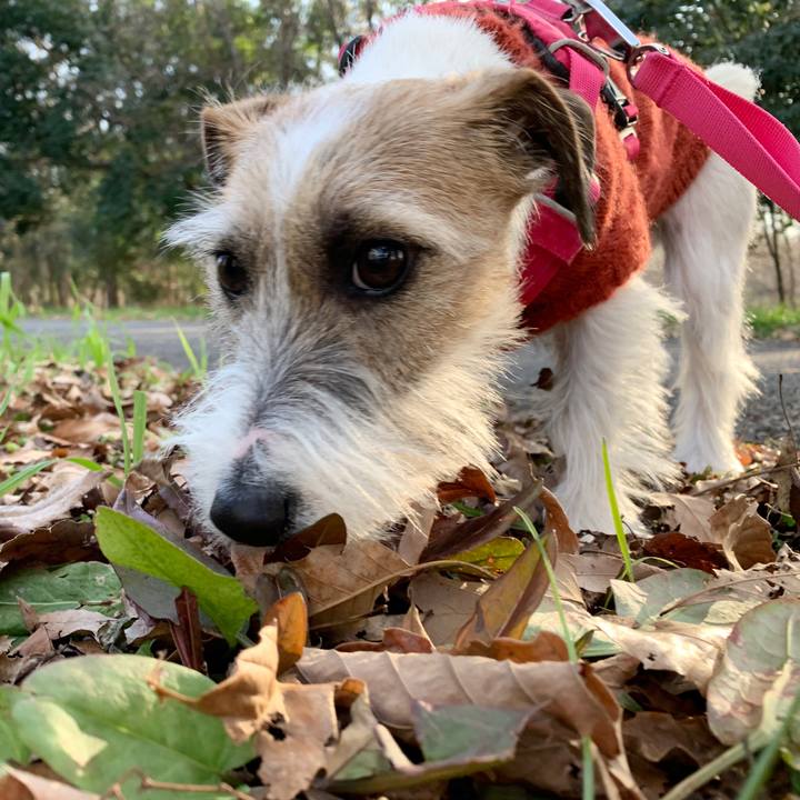 A715bcad 4106 4550 a829 c974a9c7596e 1578643486677