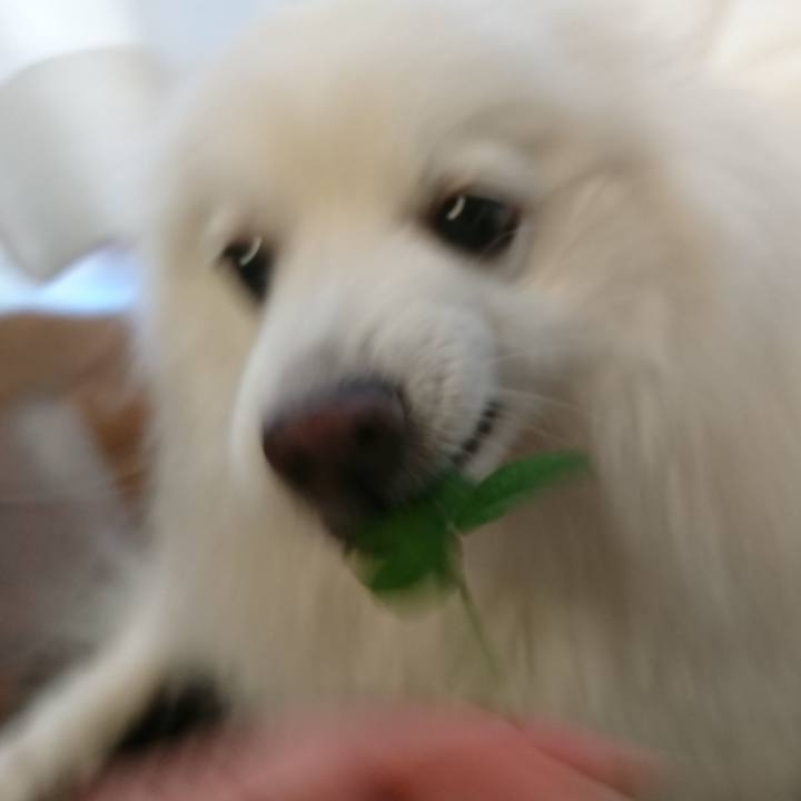 A715ca36 62f2 43bd 8908 3ec9d52f07e5 1621758710973