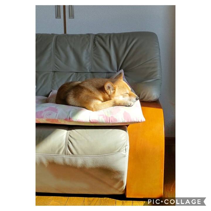 A7160296 1ec8 4dcc 8a21 7eab3748715c 1668137803961