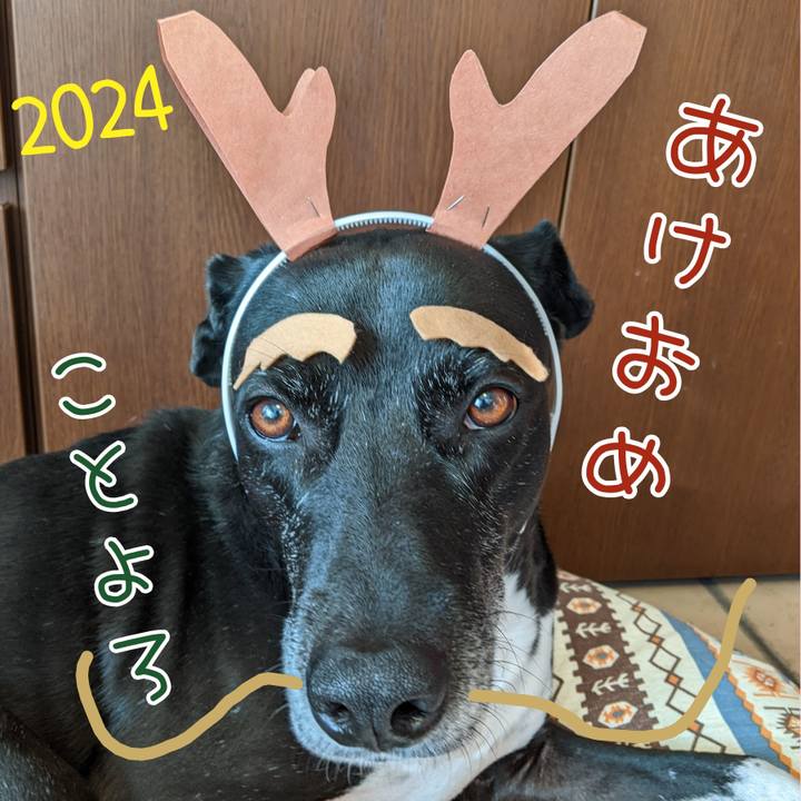 A716424c 359d 40fd b7a2 f2fe919b99a4 1704071473605