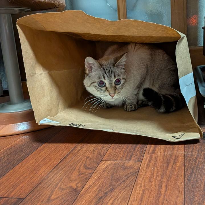 A7166a95 48db 46d0 b2fc dfed93f11a9a 1767525105379