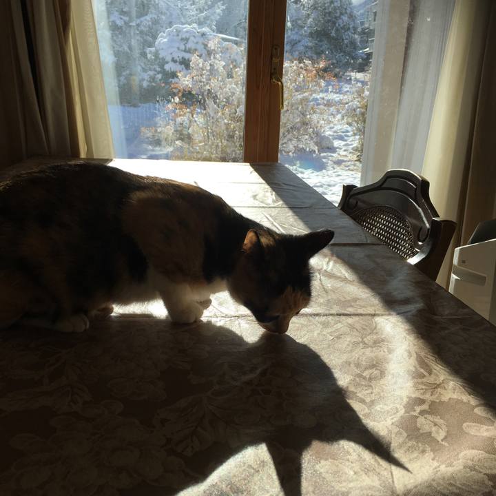 A71676d7 33ca 42d7 bf6a a754968d2127 1512522033581