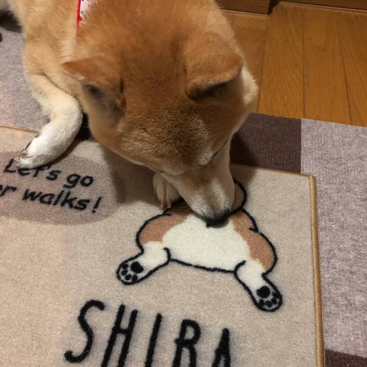 A7167a55 de6f 4071 8b3b ed290ac06967 1563366616186