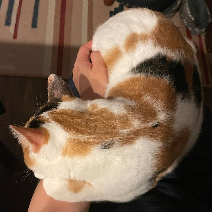 A716914c e7a3 4222 a321 c631f4cf15eb 1656253109011