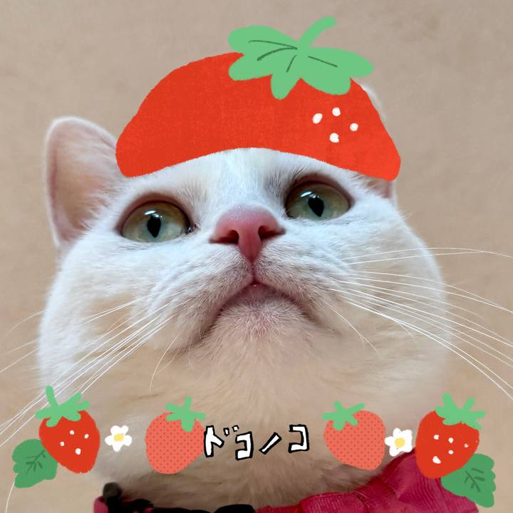 A7169190 e0aa 49ba 8628 da0304d6471c 1775223148080