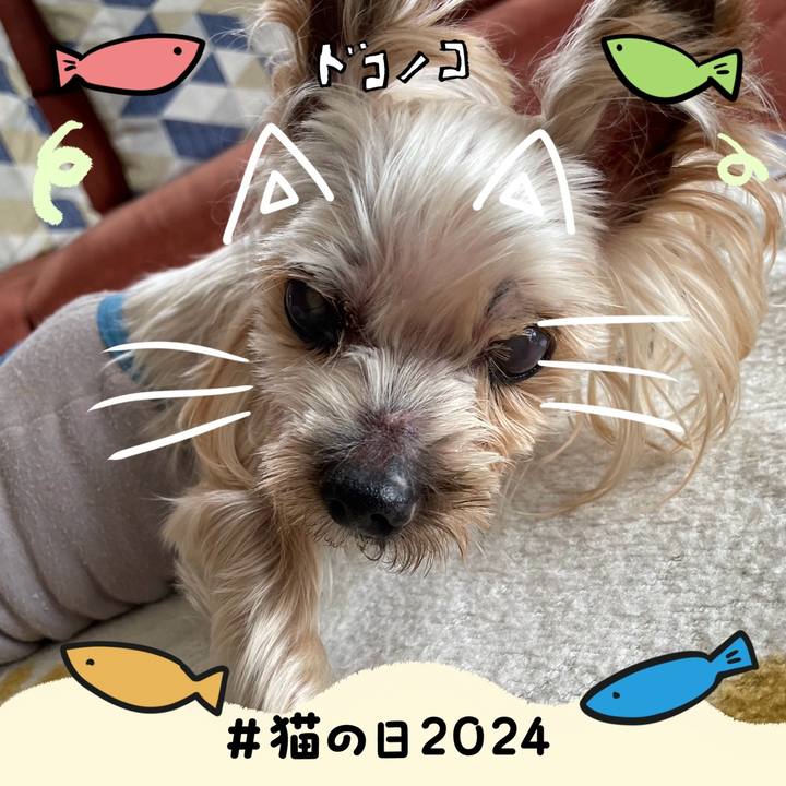 A7169a28 9ee9 4af0 9fb9 a69e0db67234 1708590482617