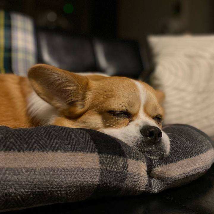 A716df49 3f13 4ff5 a38b 76fa285ebc77 1641732079860