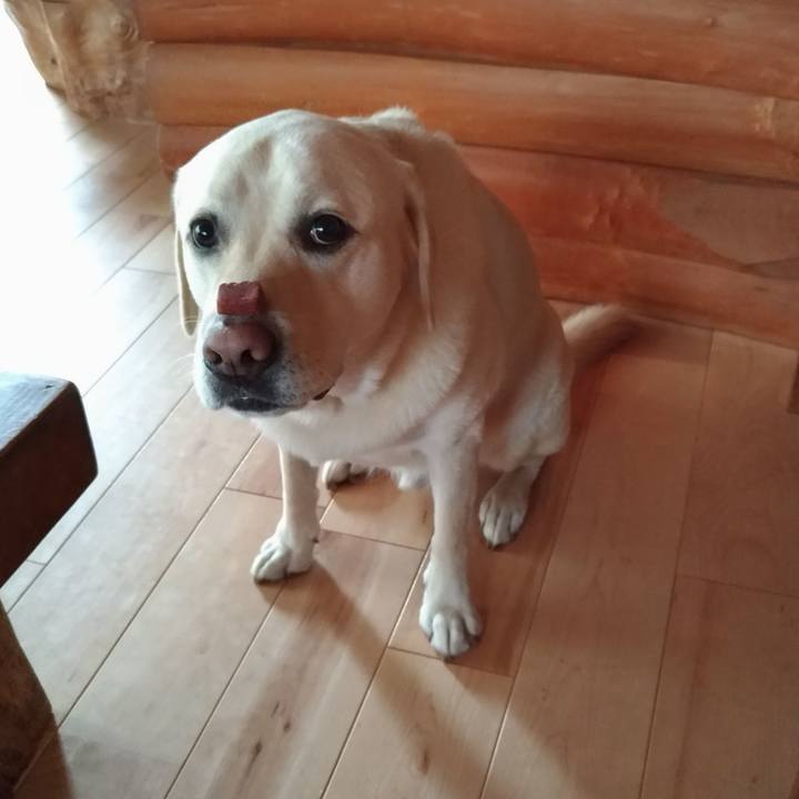 A71742bd af40 48c4 904f dcd4a363b8f1 1603414850309