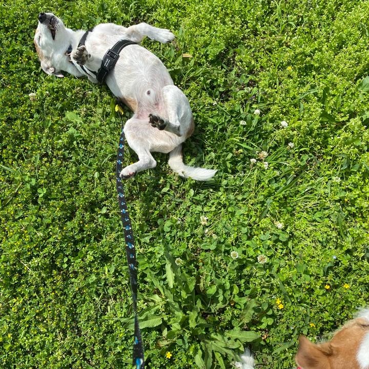 A717ee4d 23a2 4b95 935d 5b430e98262e 1620545964020