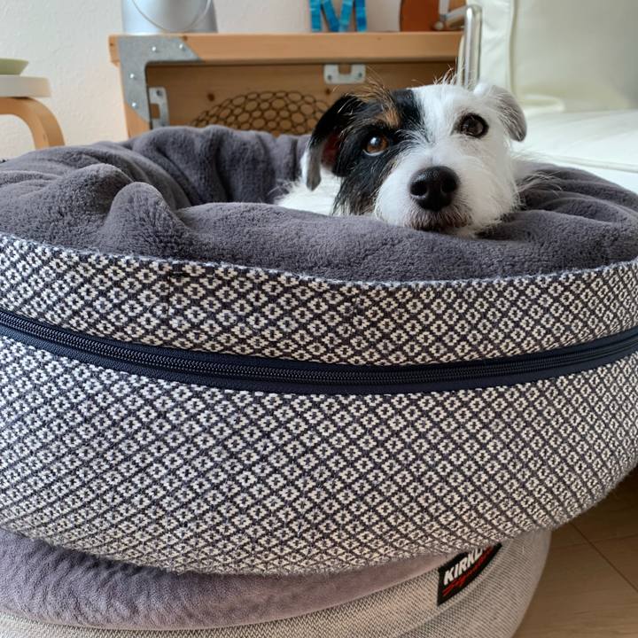 A717f8a8 c860 4983 b2d9 d601cec188e3 1630989923885