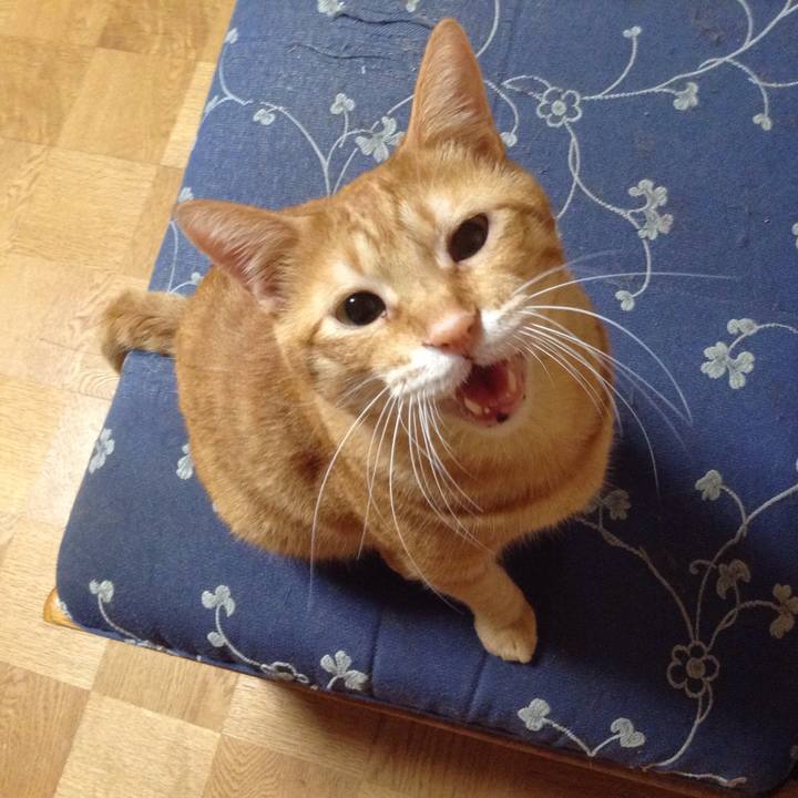 A7183962 139c 464b 994a f9ef6b13cdc9 1535762541927