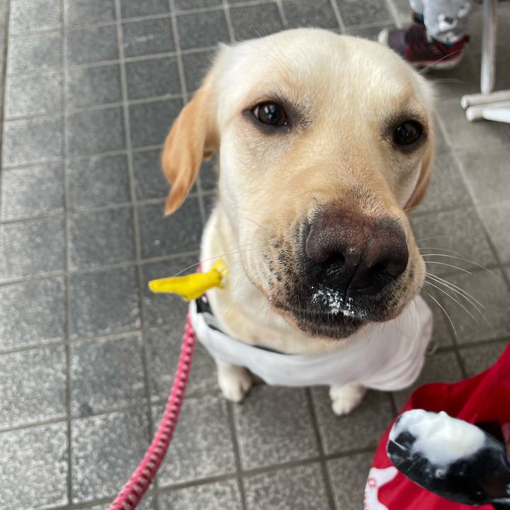 A7184ec1 ac29 4da6 9686 c9993978b33b 1650008392423