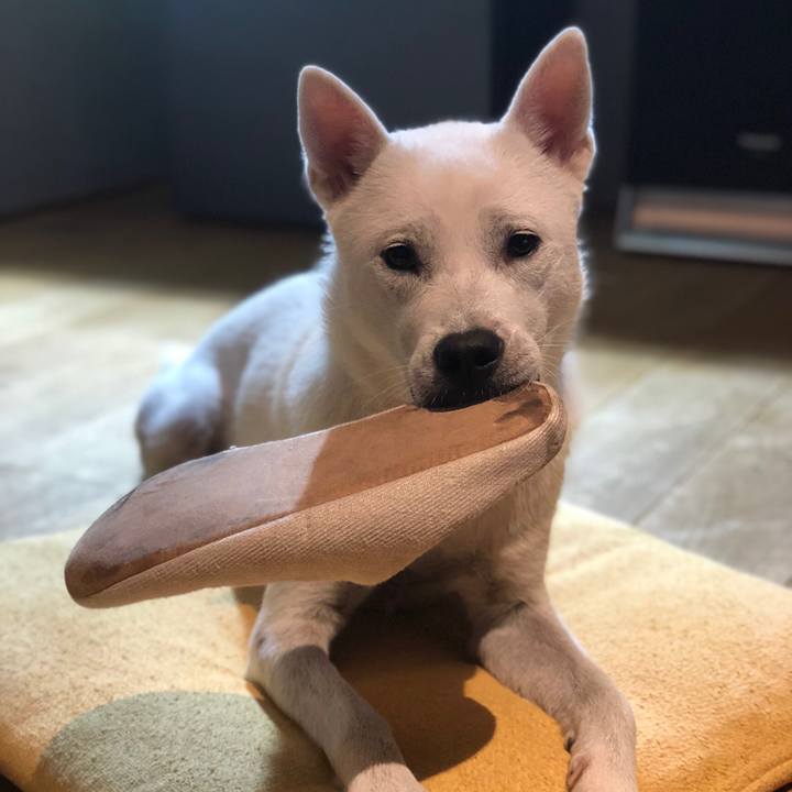 A7188bf5 11c2 4c40 8c19 7ee5eb9748fd 1536154705490