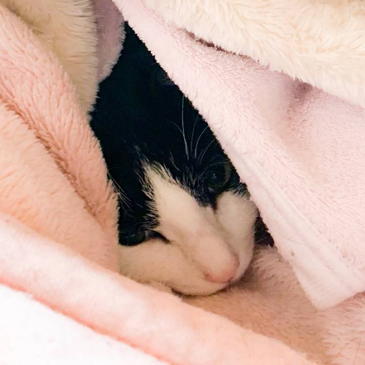 A718daef 5721 45d4 85bb 659ddfb289e4 1580521954858