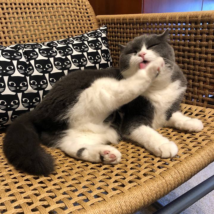 A719581a 3eca 4413 85d1 23318a9a2235 1578108228188