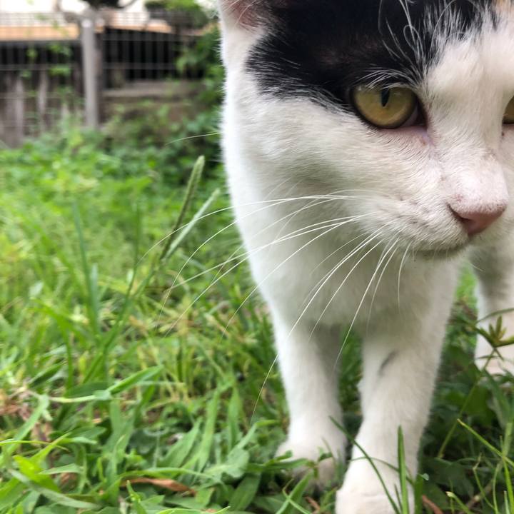 A719a412 c43b 4e12 ae13 1f54f3928515 1598442351812