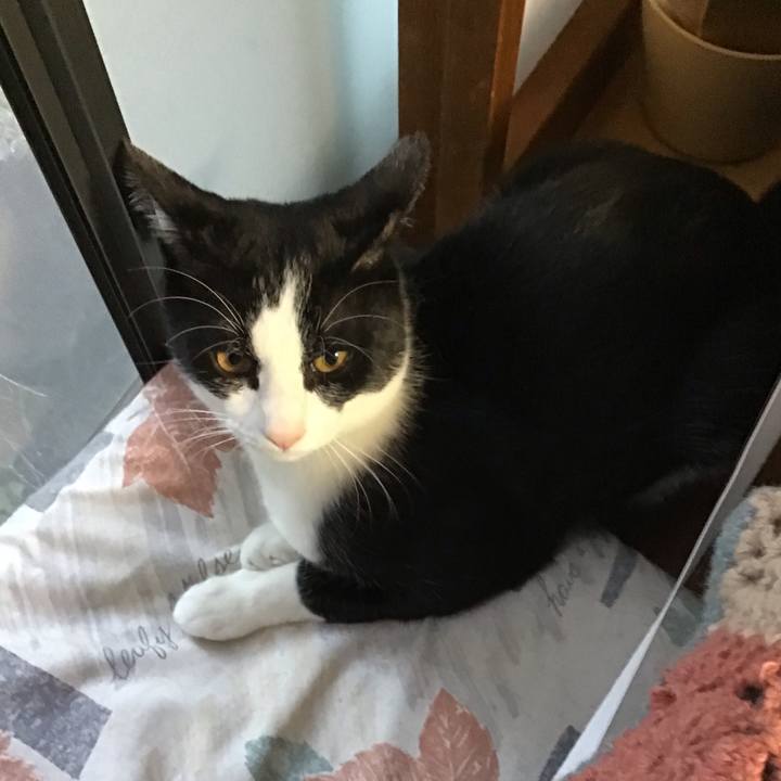 A719e6b1 6528 4891 8f6c b6f7c3e0200a 1636624009974