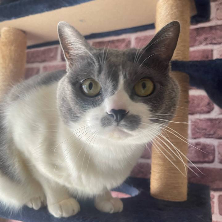 A719fd4c 82e7 4f00 bd6c 7c96d76e97a5 1741563376644