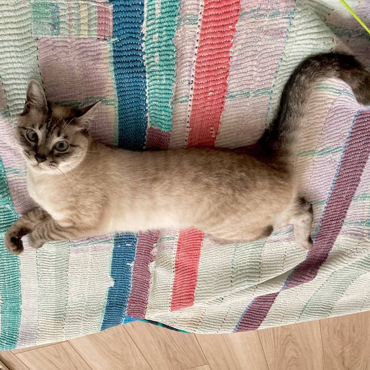 A719fd64 cc57 401e bcc5 d97552047d09 1621471609165