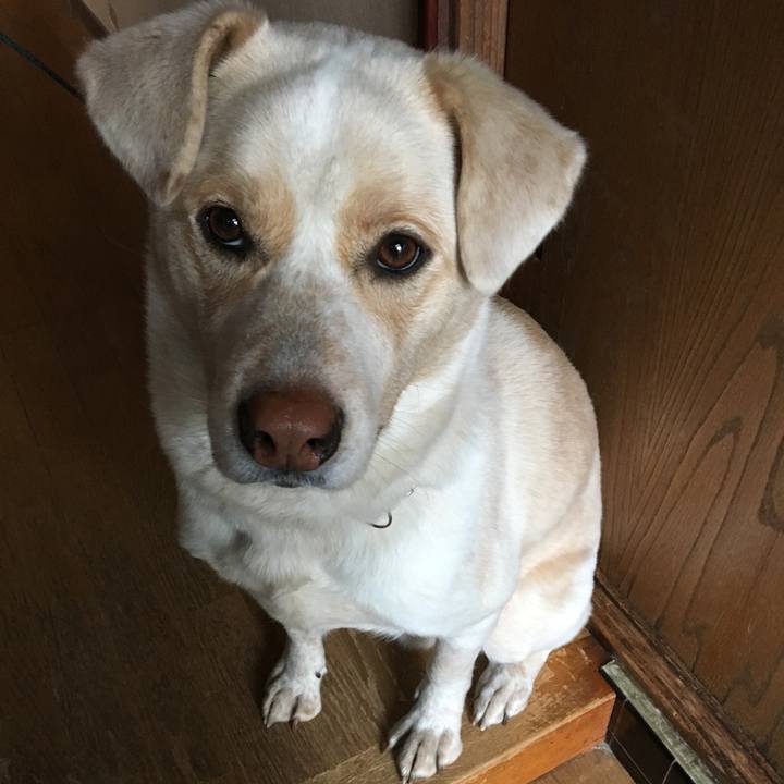 A71a2d60 2bc7 4056 ae03 e6984a75c124 1516327501263