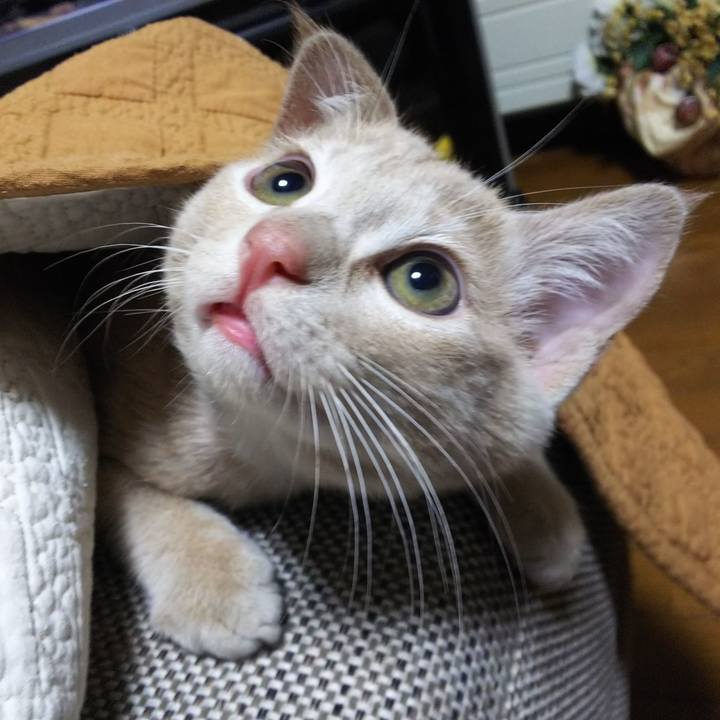 A71a5472 fd5a 4d93 a77d aeaabac8e692 1541159818897