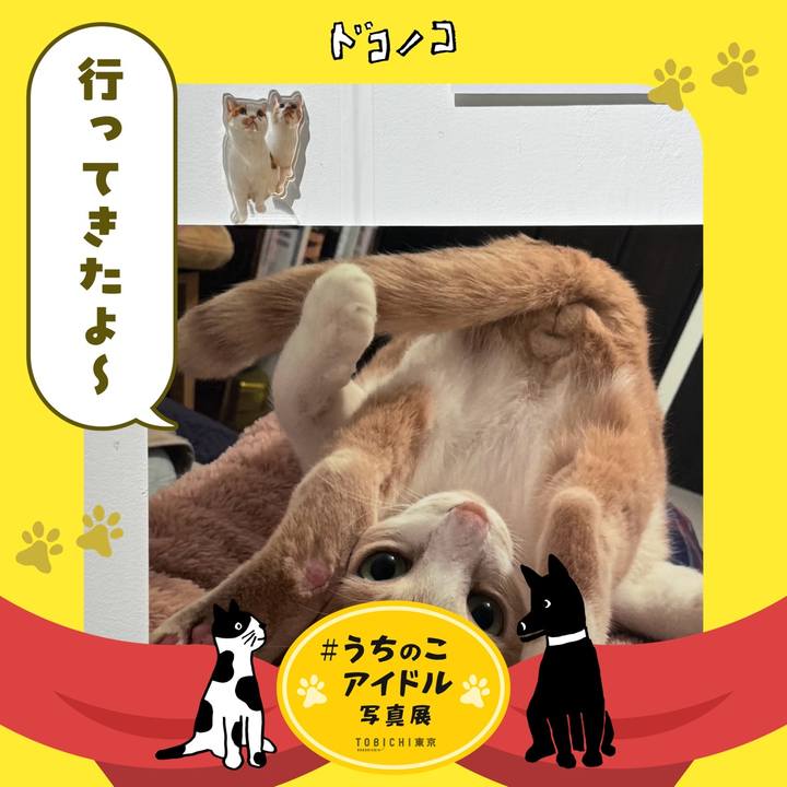 A71aa39a 4aa5 458f 8a54 93e267b9f91c 1761907669876