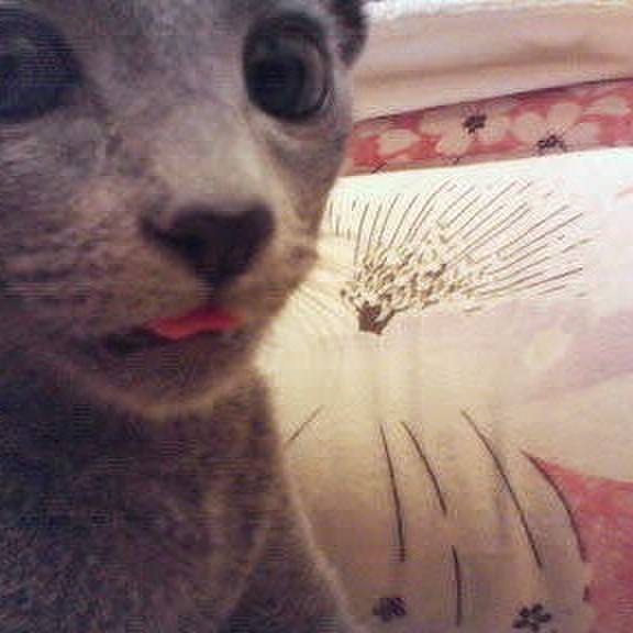 A71ae25e 5fa4 4c40 b275 c8f36e15df41 1535204229059