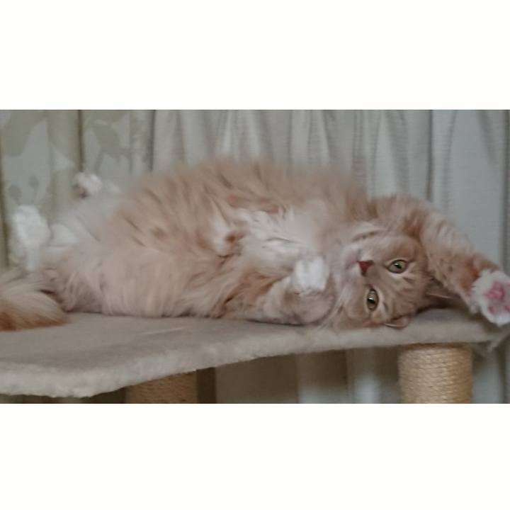 A71b1c38 7cd5 4f5a 99b0 01b385fbc5d9 1546006551571