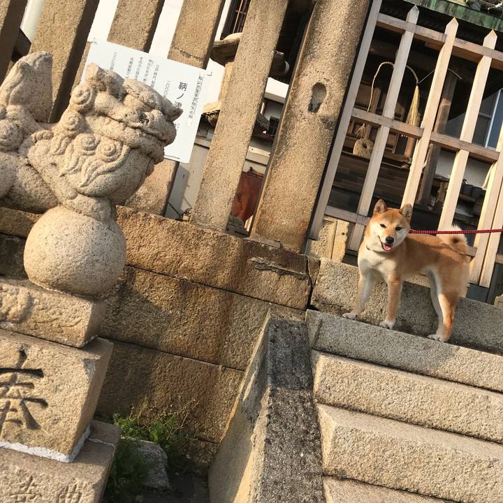 A71b2ce5 6e65 40a9 97f6 fc09917cd079 1522758596676