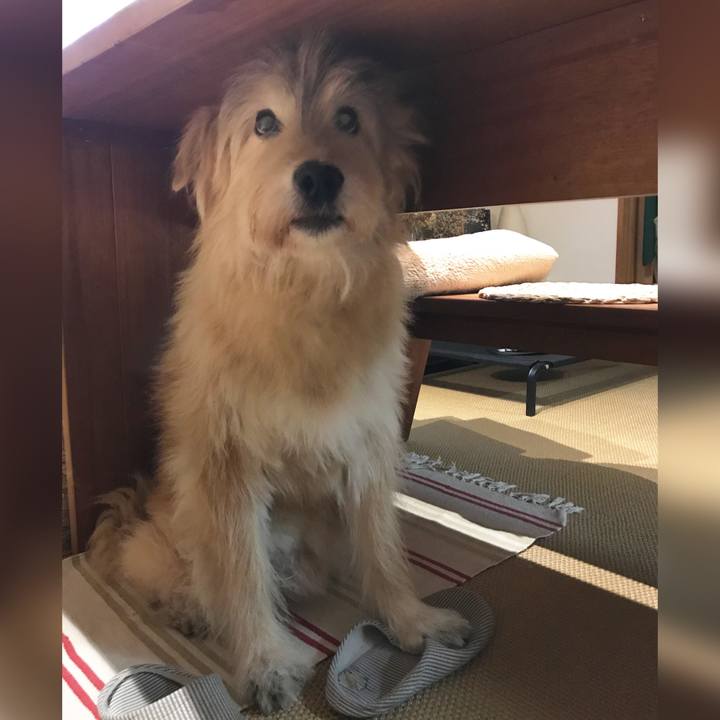 A71b38a3 4cd1 44f8 9077 08ccf83b9fef 1638787844965