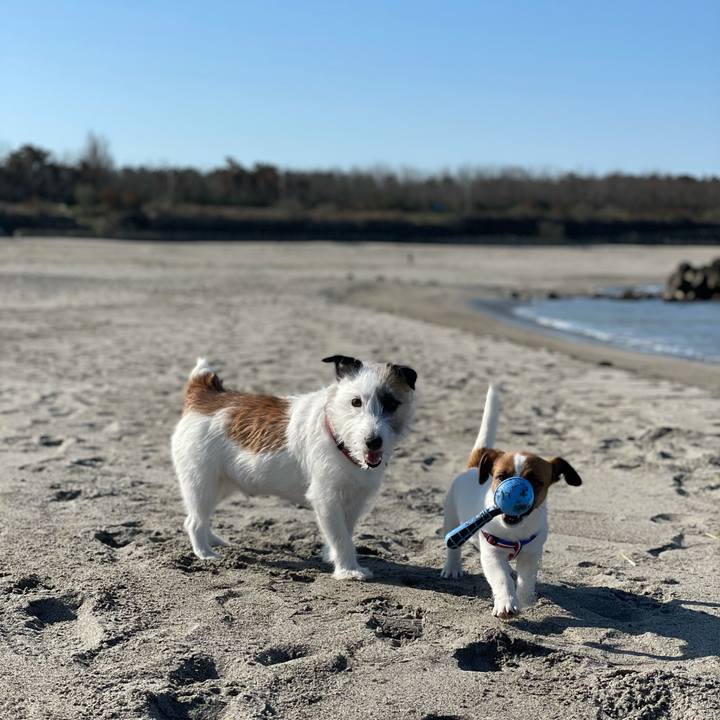 A71b3cbb 3991 4b14 9f06 178228419c4c 1618102109031