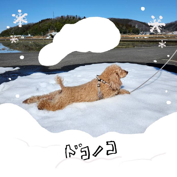 A71b450c 0953 41ff 9a8c e8bc71bbf619 1772061631198