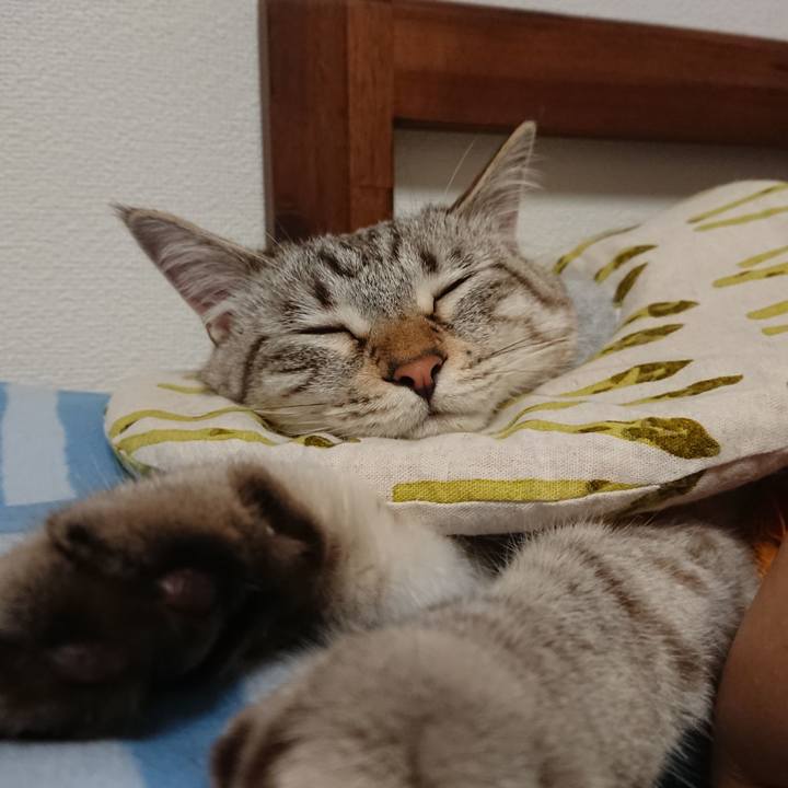 A71b4c44 9a46 4736 952e 3378235d943b 1563850494875