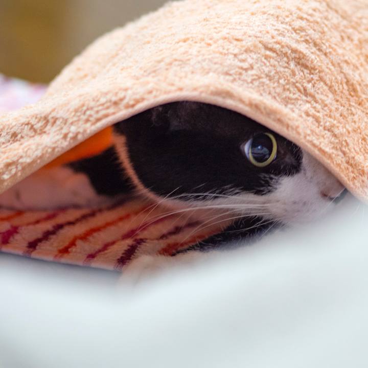 A71b80cd ef41 4c59 8b94 8ac2a212358b 1531554095145