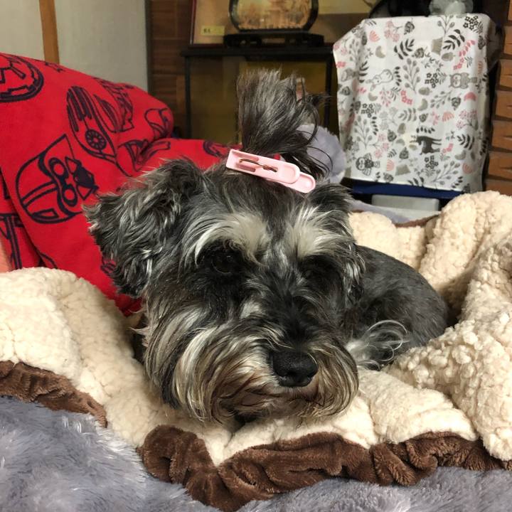 A71b8bdf affa 4f7a 9cf9 dac07d2d6170 1621598516408