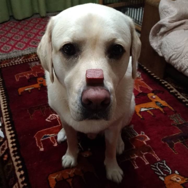 A71baa25 7f67 4d20 a073 374f2210f3f9 1563450920474