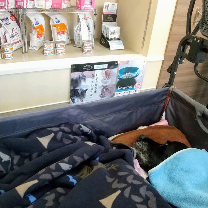 A71bcd4a fa96 47b2 a4a1 d3c1a6cd9eb3 1734927524911