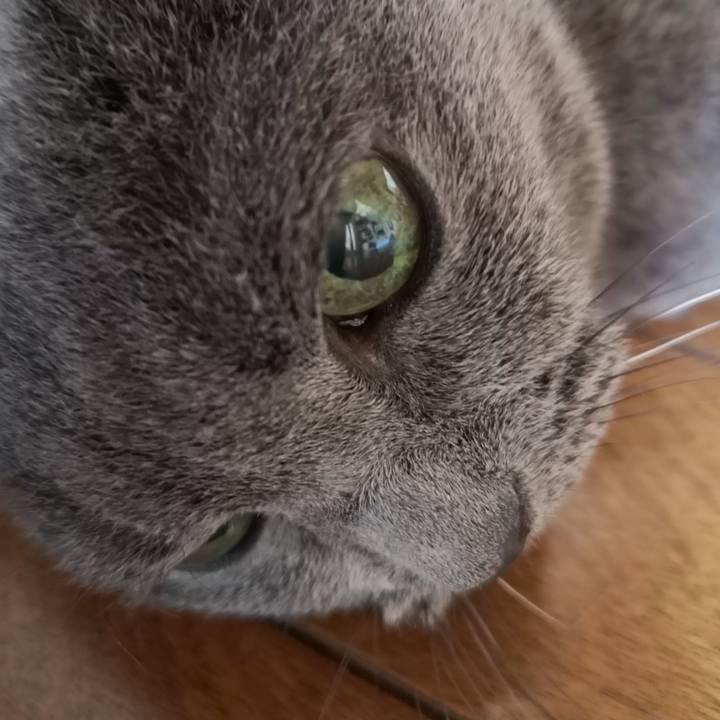 A71bda90 d392 4cbc b672 6e25b812a336 1630102149085