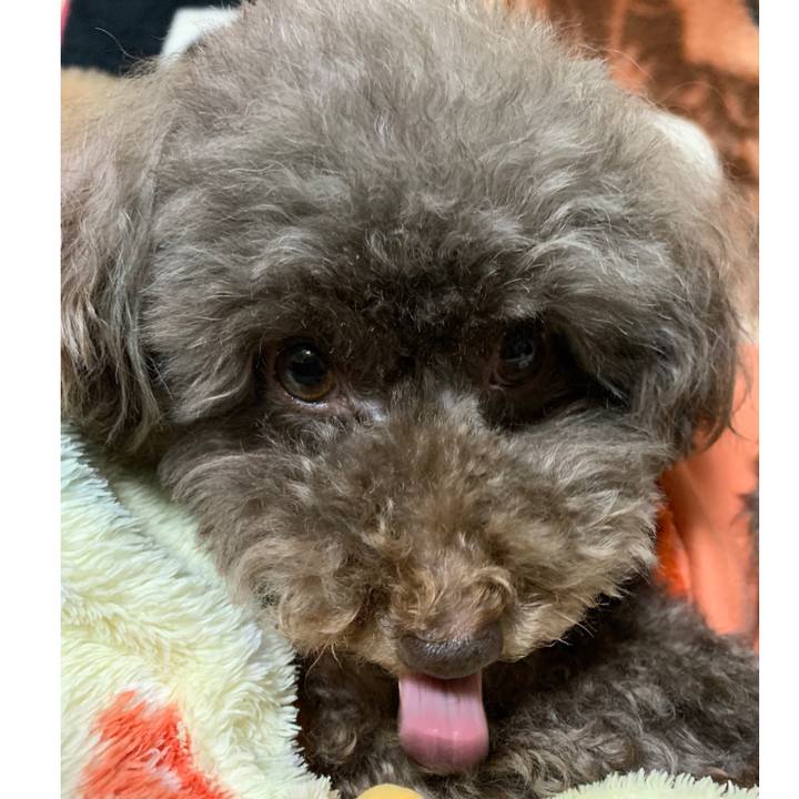 A71c33bd a8b4 4f99 bc7d f6dbc832c54c 1583492689275