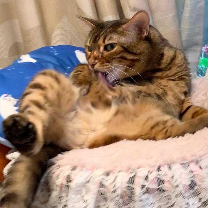 A71c3631 d8db 4d43 91aa 3bc2331db186 1625525965694