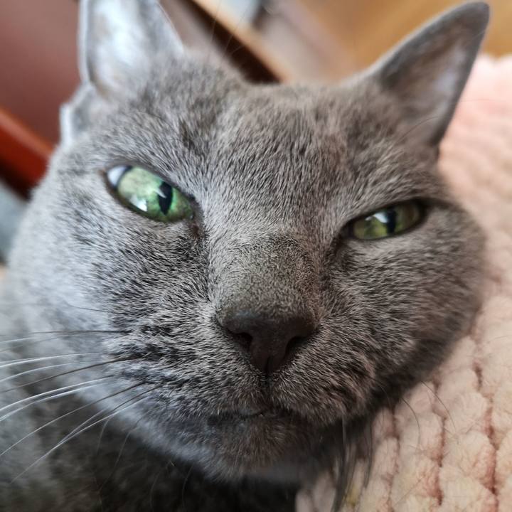 A71c4fd4 715f 4c7d a628 927c0357d7a7 1600486570230