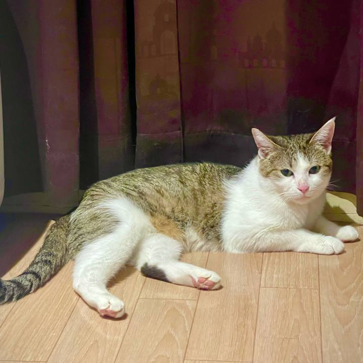 A71c5d2c c023 426d 9c8c b630d9fcb4b0 1627827291291