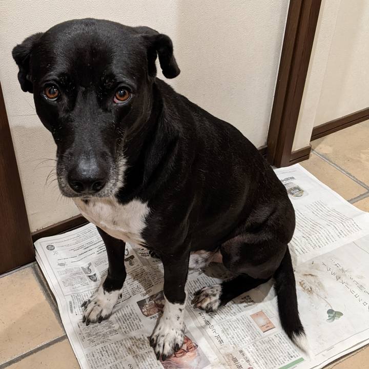 A71cf1ff c1b4 4e17 8645 e508475a4ca0 1673866573597